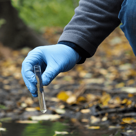 Peritaje Dictaminador en Daño Ambiental